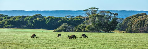 Hanson Bay Cabins - Hervey Bay Accommodation 23