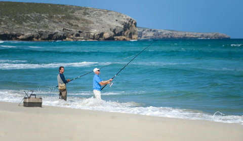 Hanson Bay Cabins - Hervey Bay Accommodation 17