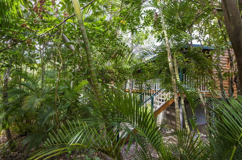 Koorakai - Tourism Hervey Bay 0