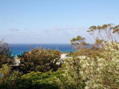 Seagrass - Tourism Hervey Bay 0