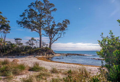 Adventure Bay Holiday Home - Hervey Bay Accommodation 12