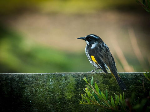 Parnella Adventure Bay, Bruny Island - Hervey Bay Accommodation 21