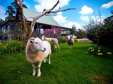 Parnella Adventure Bay, Bruny Island - Hervey Bay Accommodation 19