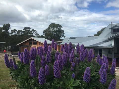 Bruny Island Lodge - Tourism Hervey Bay 5