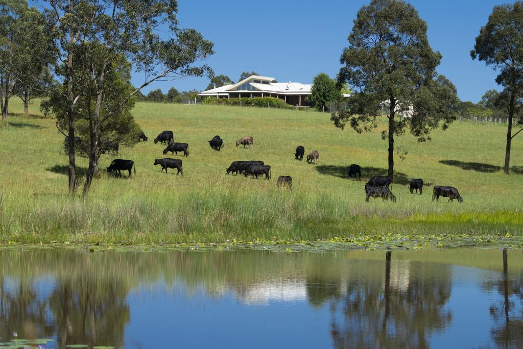 Crawford River NSW Hervey Bay Accommodation