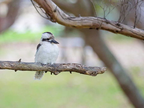 1 'Intrepid', 3 Intrepid Close - Amazing Views Of Shoal Bay, Only 100m From The Beach - Tourism Hervey Bay 1