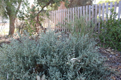 12 Apostles Cottages - Tourism Hervey Bay 2