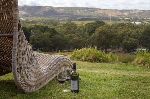 131 Your Vineyard Home In The Heart Of The Vale - Hervey Bay Accommodation 0