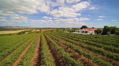 1837 Barossa Luxury Vineyard Cottages - Hervey Bay Accommodation 0