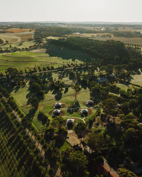 CANVS By CABN Seppeltsfield Barossa - Hervey Bay Accommodation 1