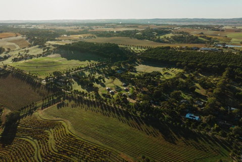 CANVS By CABN Seppeltsfield Barossa - Hervey Bay Accommodation 2