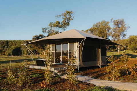 CANVS By CABN Seppeltsfield Barossa - Hervey Bay Accommodation 3