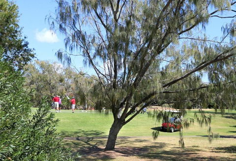 Capricorn Pacific - Tourism Hervey Bay 4