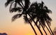 Cardwell Beachfront Motel - thumb 0