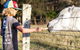Casa Del Mare - Farm Stay By The Ocean - thumb 2