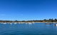 Charlie Sweet Home At Mornington Peninsula - thumb 1