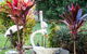 Charming 3-Bedroom House In Beacon Hill - thumb 1