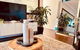 Chic Rose Bay Pad With HUGE Outdoor Sunny Balcony - thumb 2