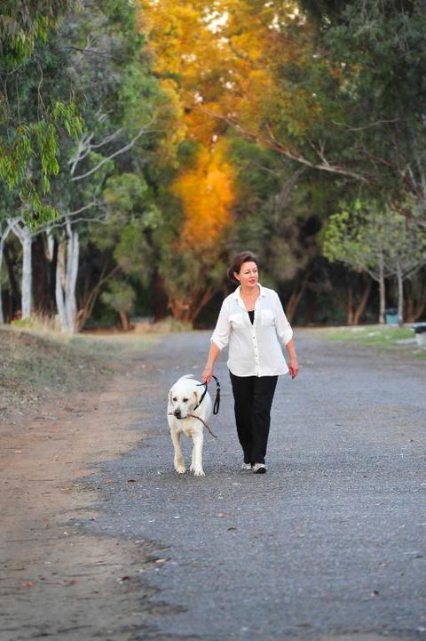 City Lights Holiday Park - Tourism Hervey Bay 4