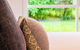 Coastal Rainforest Retreat - thumb 3