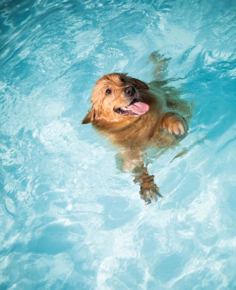 Coastal Springs - PET FRIENDLY & 200m To Beach! - Tourism Hervey Bay 1
