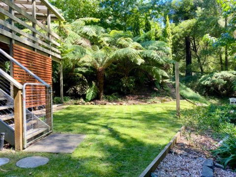 Cockatoo Rainforest Escape - Tourism Hervey Bay 4