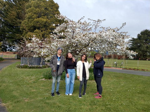 Cradle At Casa Blanca Country Retreat - Hervey Bay Accommodation 4