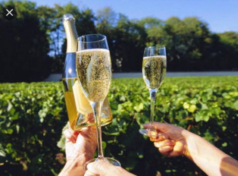 D110 Sweet Melon Super Stay-fantastic - Hervey Bay Accommodation 4