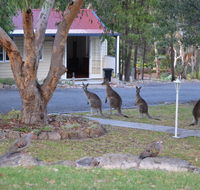 31 The Rocks - Tourism Hervey Bay