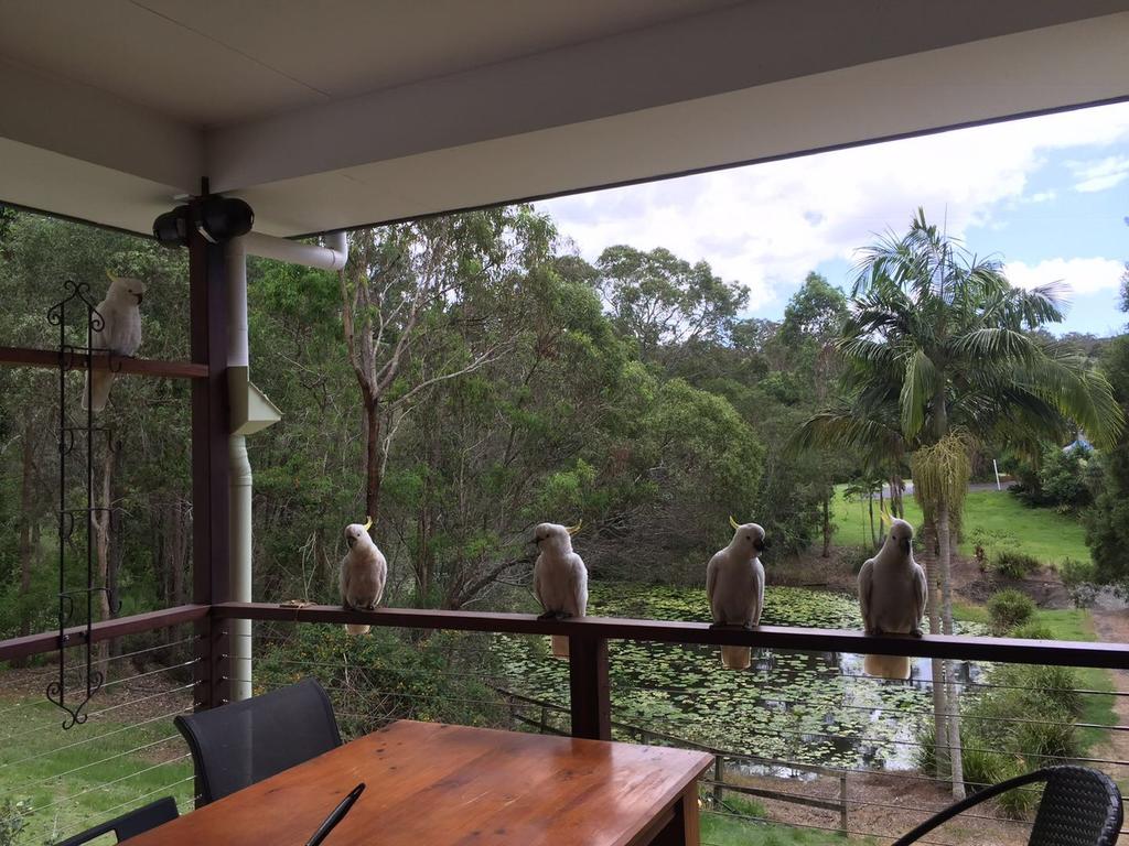 Upper Coomera QLD Hervey Bay Accommodation