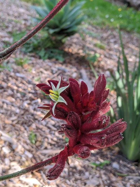 A Home Away From Home - Hervey Bay Accommodation 1