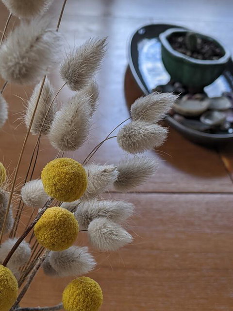 A Home Away From Home - Hervey Bay Accommodation 2