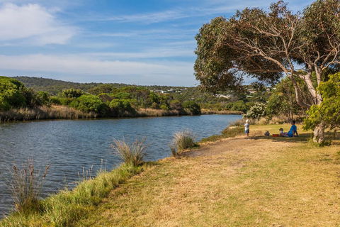 A River Bed Cottage - Tourism Hervey Bay 3