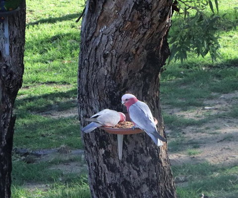 A Stanthorpe Getaway - Hervey Bay Accommodation 2