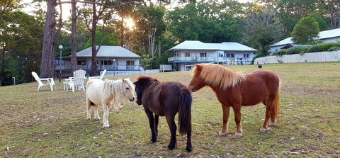 Aaronlee Retreat - Hervey Bay Accommodation 2
