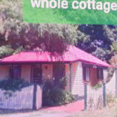 Abelia Cottages Botanical - Hervey Bay Accommodation 3