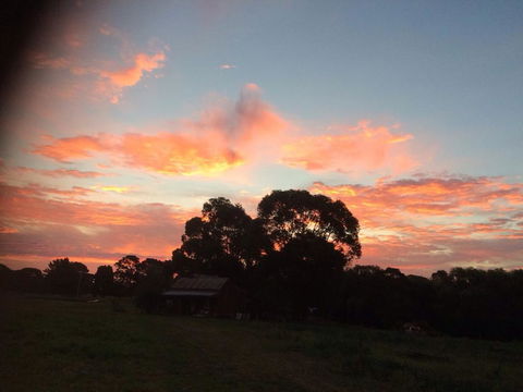 Abington Farm - Tourism Hervey Bay 3