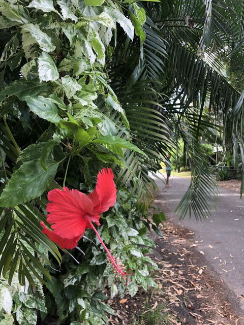 Absolute Beach Frontage, Family Friendly, Home Away From Home - Hervey Bay Accommodation 1