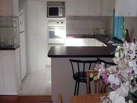 Book Forestville Accommodation Vacations Hervey Bay Accommodation Hervey Bay Accommodation