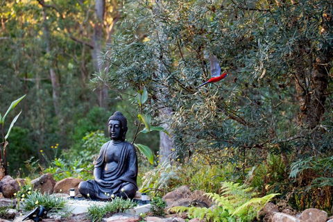 Dorrigo Bush Pepper Retreat - Tourism Hervey Bay 4