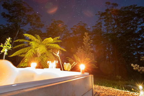 Dorrigo Bush Pepper Retreat - Tourism Hervey Bay 2