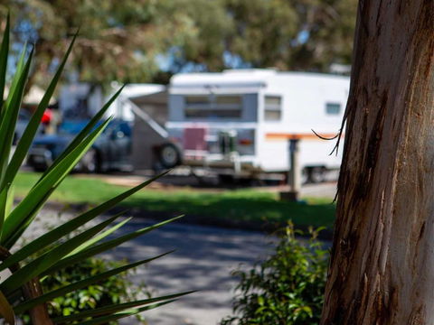 Echo Holiday Parks - Windsor Gardens - Tourism Hervey Bay 4