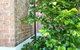 Dora Hall - Very Central - thumb 1