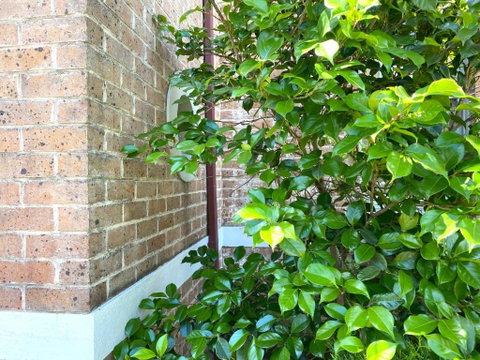Dora Hall - Very Central - Hervey Bay Accommodation 1