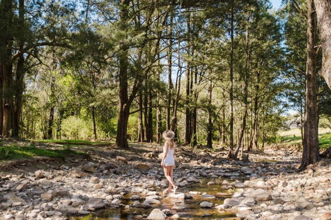 EKhaya - The Barn - Hervey Bay Accommodation 2