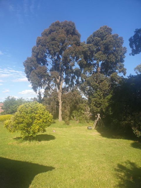 Feel Country Breeze - Tourism Hervey Bay 0