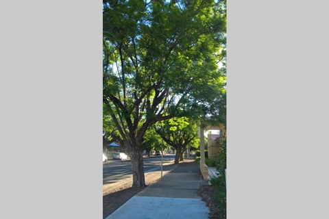 Gawler Heritage Accommodation - Tourism Hervey Bay 1