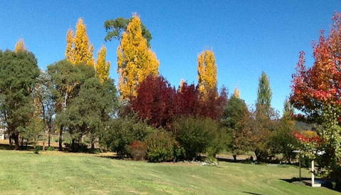 Glen Waverly Farmstay - Hervey Bay Accommodation 3