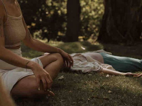 Herrings House, An Iconic Designer Nature Retreat - Hervey Bay Accommodation 1