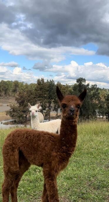 Hill Top Tiny River House - Hervey Bay Accommodation 1